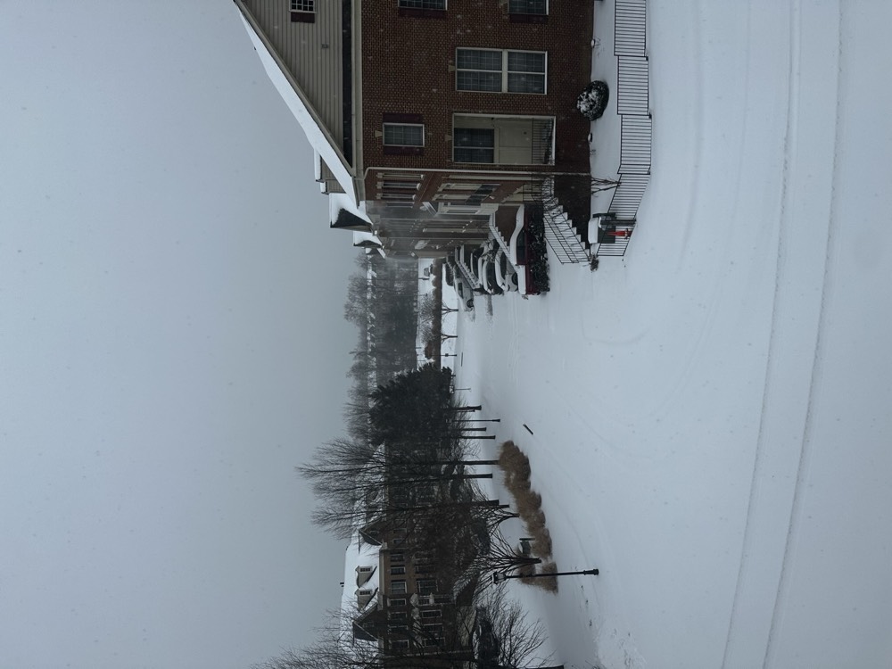 Snow-covered street at the Ridges at Edsall